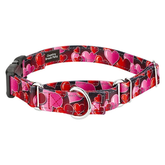 Country Brook Petz® Romantic Hearts Reflective Martingale Dog Collar with Deluxe Buckle, Extra Large