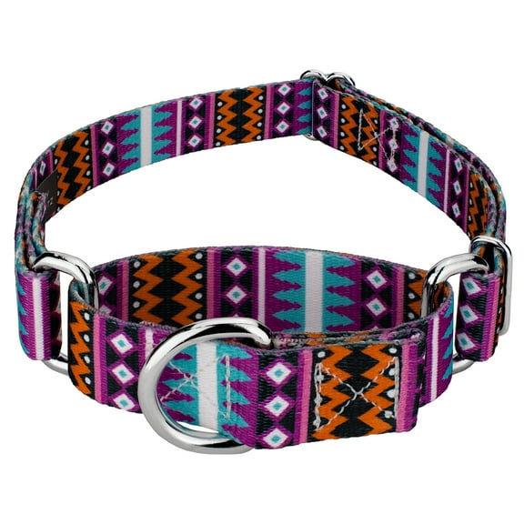Country Brook Petz® Santa Fe Martingale Dog Collar, Large