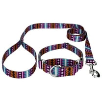 Country Brook Petz® Santa Fe Martingale Dog Collar and Leash, Mini