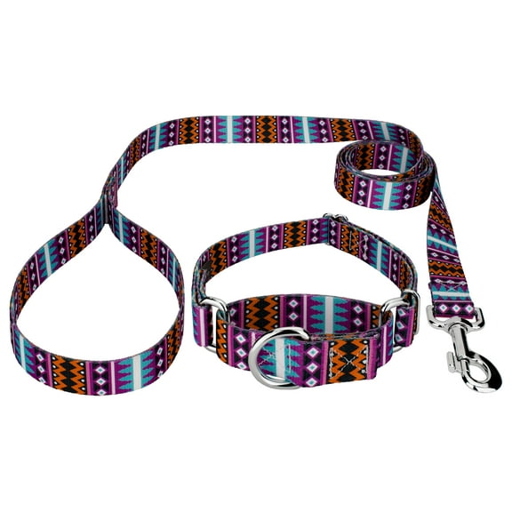 Country Brook Petz® Santa Fe Martingale Dog Collar and Leash, Mini