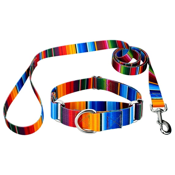 Country Brook Petz® Serape Martingale Dog Collar and Leash, 2XS