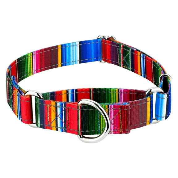 Country Brook Petz® Serape Reflective Martingale Dog Collar, Medium