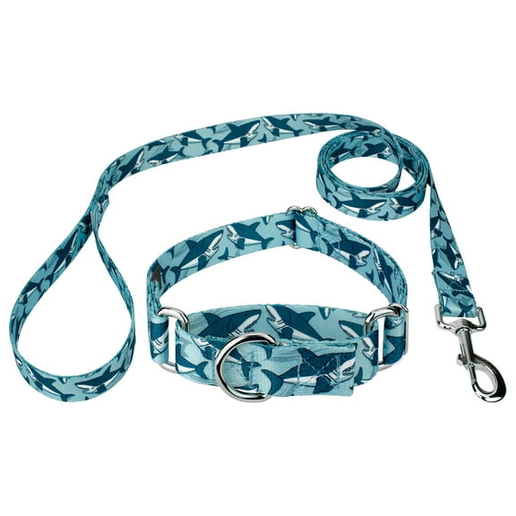 Country Brook Petz® Sharks Martingale Dog Collar and Leash, Medium