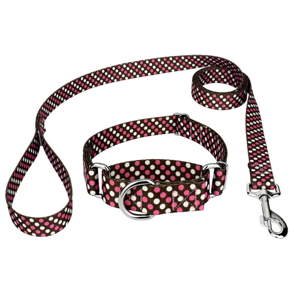 Country Brook Petz® Shibuya Martingale Dog Collar and Leash Limited Edition, Extra Small