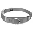 thumbnail image 1 of Country Brook Petz® Silver Heavyduty Nylon Martingale with Premium Buckle, Extra Small, 1 of 6