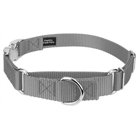 Country Brook Petz® Silver Heavyduty Nylon Martingale with Premium Buckle, Medium