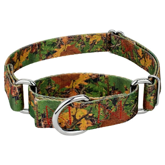 Country Brook Petz® Southern Forest Camo Martingale Dog Collar, Medium