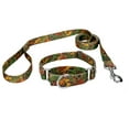 thumbnail image 1 of Country Brook Petz® Southern Forest Camo Martingale Dog Collar and Leash, Small, 1 of 7