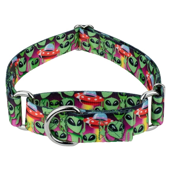 Country Brook Petz® Space Aliens Martingale Dog Collar, Small
