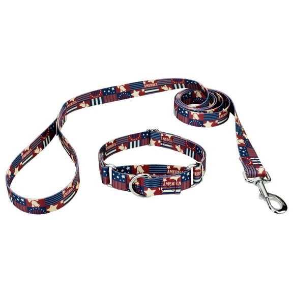 Country Brook Petz® Spirit of '76 Martingale Dog Collar and Leash, Extra Small
