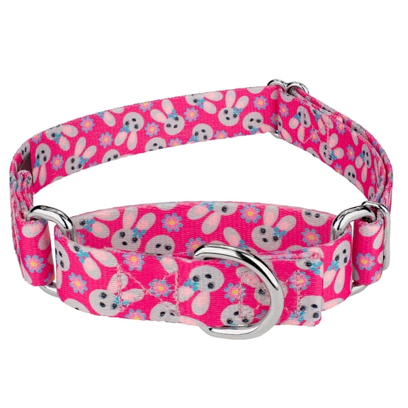 Country Brook Petz® Spring Bunnies Martingale Dog Collar Limited Edition, 2XS