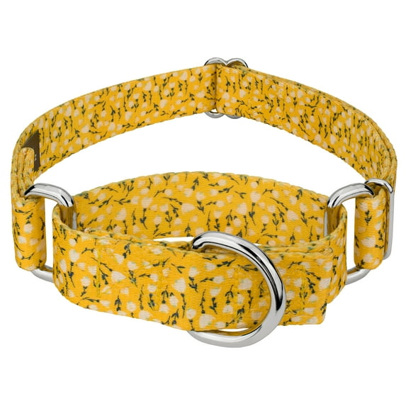 Country Brook Petz® Spring Cottagecore Martingale Dog Collar, Small