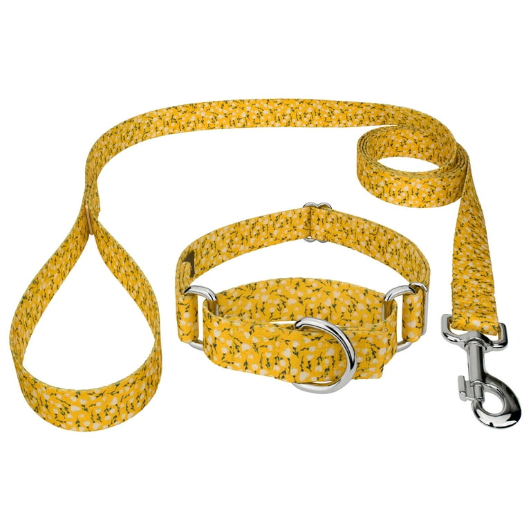 Country Brook Petz Spring Cottagecore Martingale Dog Collar and Leash XS