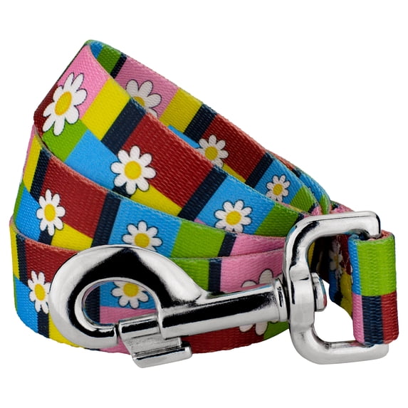Country Brook Petz - Spring Daisies Dog Leash - Floral Collection with 8 Charming Designs (6 Foot, 5/8 inch Wide)