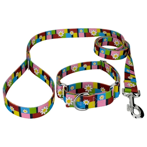 Country Brook Petz® Spring Daisies Martingale Dog Collar and Leash, Small