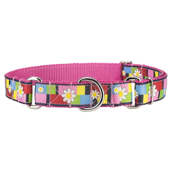 Country Brook Petz® Spring Daisies Ribbon on Rose Martingale Collar, Small