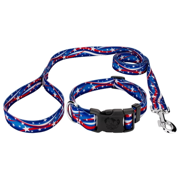 Country Brook Petz® Star Spangled Everyday Dog Collar and Leash, Medium