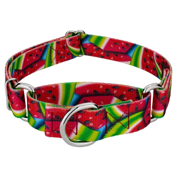 Country Brook Petz® Summer Melon Martingale Dog Collar Limited Edition, Small