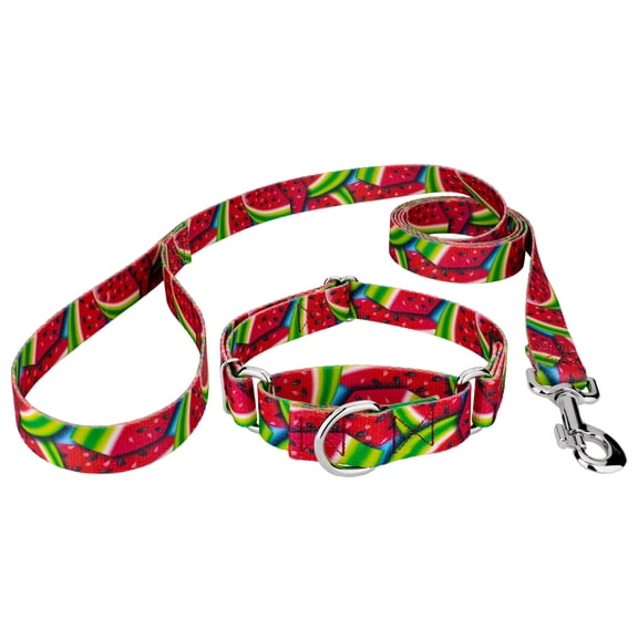 Country Brook Petz® Summer Melon Martingale Dog Collar and Leash Limited Edition, Extra Small