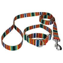 Country Brook Petz® Summer Pines Martingale Dog Collar and Leash, 2XS