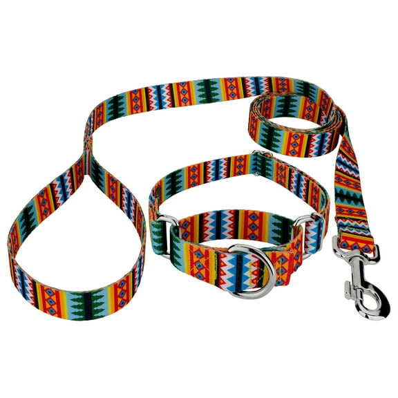 Country Brook Petz® Summer Pines Martingale Dog Collar and Leash, 2XS