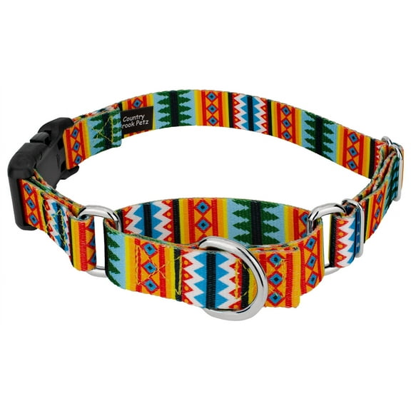 Country Brook Petz® Summer Pines Martingale With Deluxe Buckle Dog Collar, Small