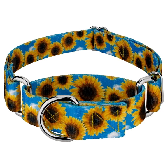 Country Brook Petz® Sunflowers Martingale Dog Collar, Medium