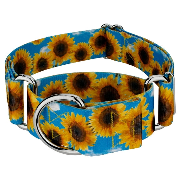 Country Brook Petz - Sunflowers Martingale Dog Collar with 14 Uniqe Designs for Any Style