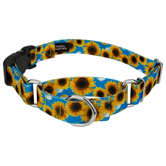 Country Brook Petz® Sunflowers Martingale Dog Collar with Deluxe Buckle, Small