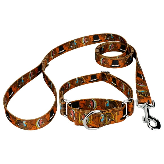Country Brook PetzĀ® Thanksgiving Tradition Martingale Dog Collar and Leash, 2XS