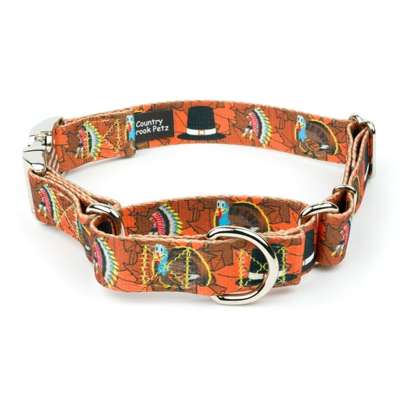 Country Brook Petz - Thanksgiving Tradition Martingale Dog Collar with Premium Buckle - Awesome Autumn Collection with 2