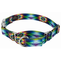 Country Brook Petz® Tie Dye Flowers Reflective Martingale Dog Collar With Premium Buckle, Large