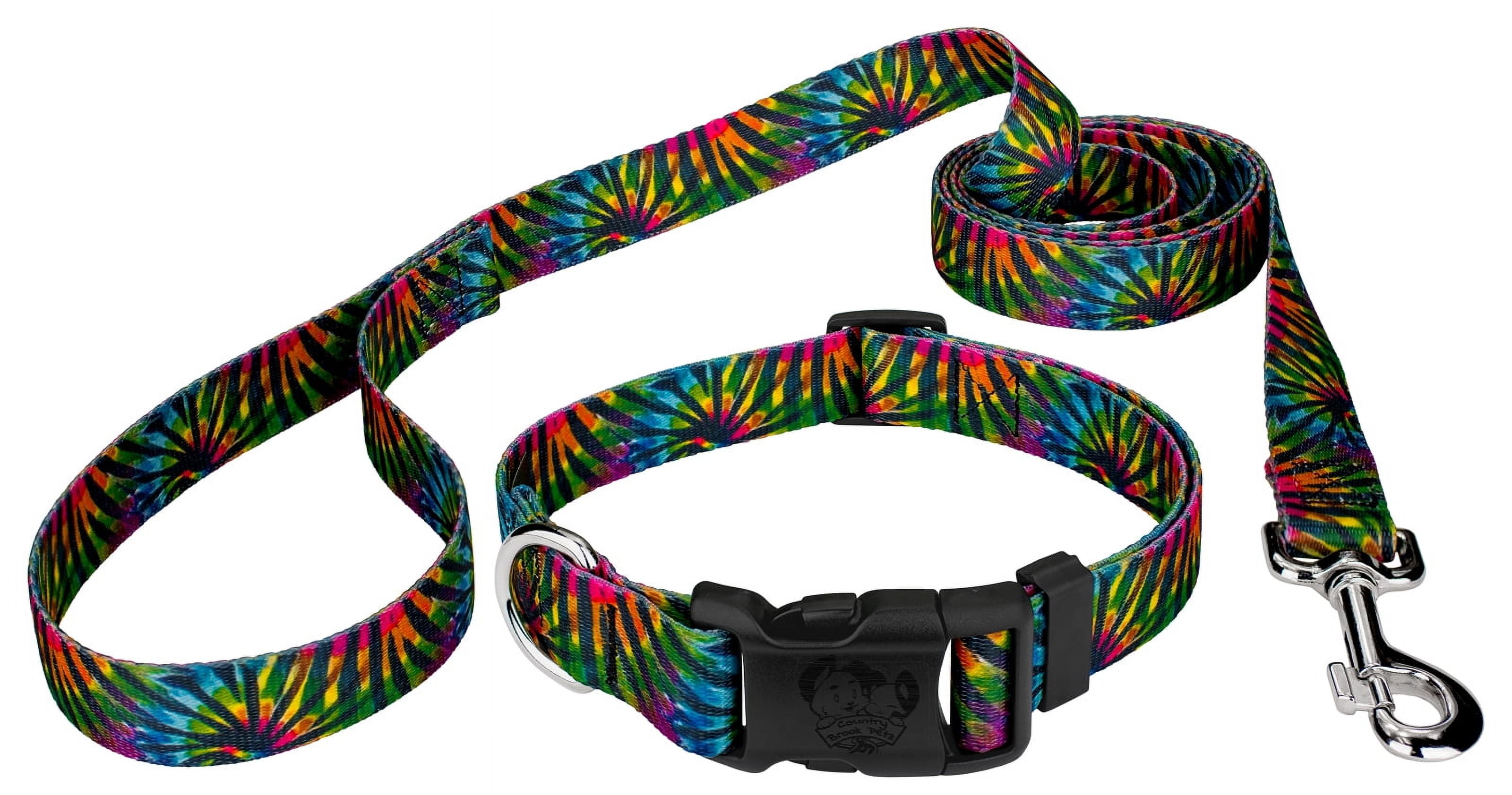 Country Brook Petz® Tie Dye Stripes Everyday Dog Collar and Leash, Medium