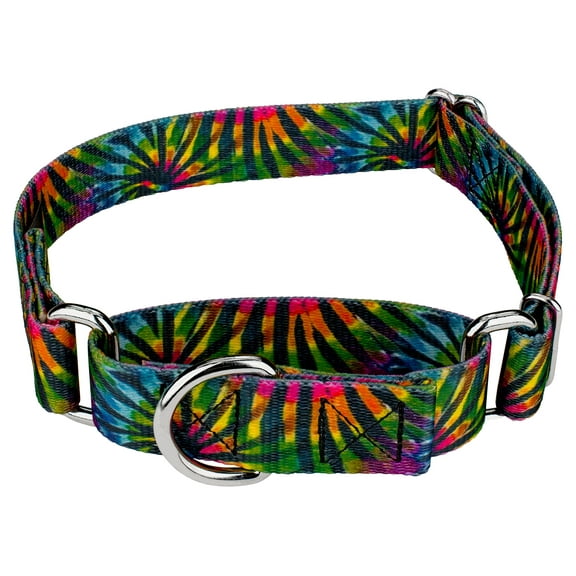 Country Brook Petz® Tie Dye Stripes Martingale Dog Collar, Large