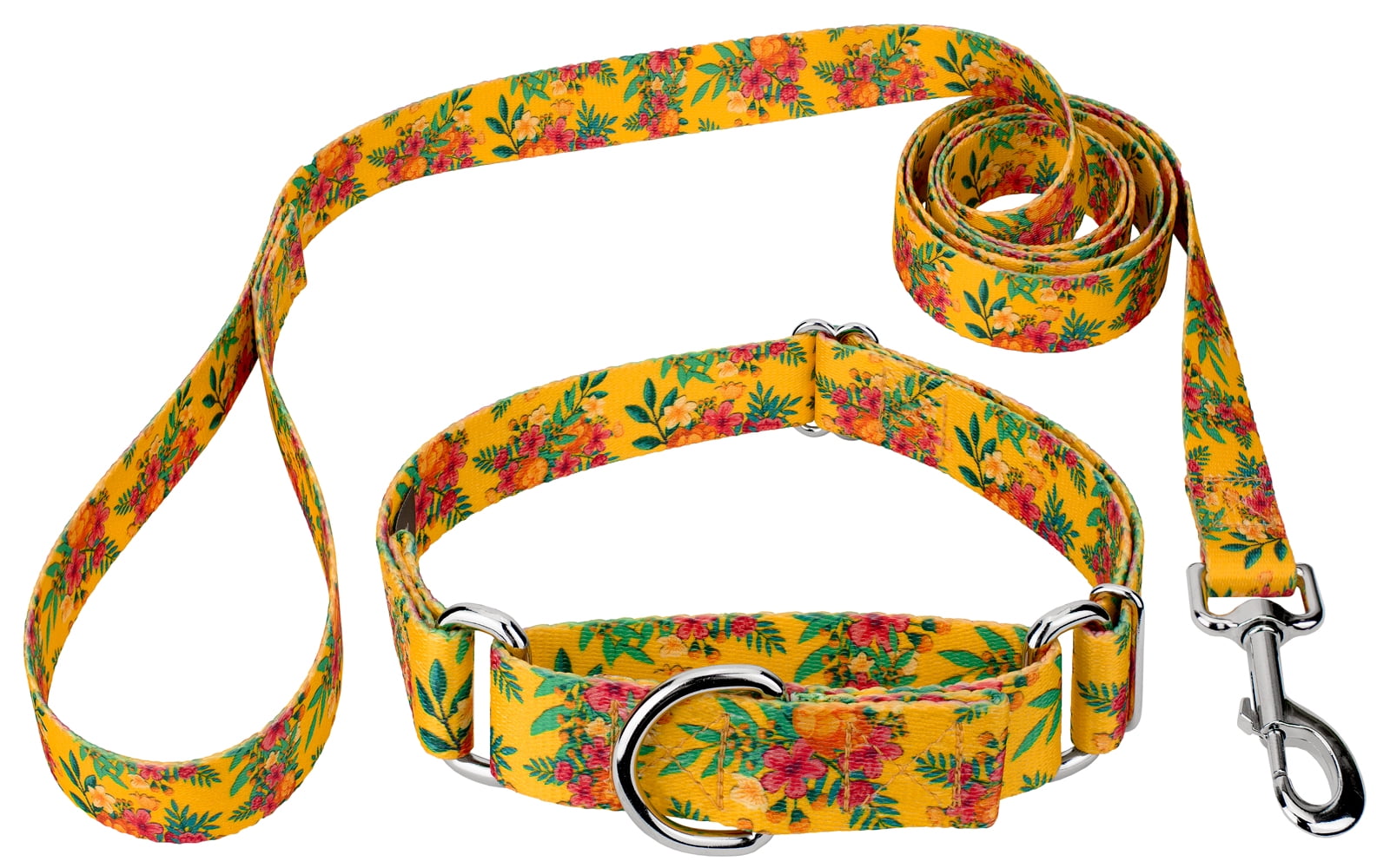 Country Brook Petz® Tropical Floral Martingale Dog Collar and Leash, Large