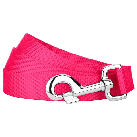 Country Brook Petz - Vibrant 15 Color Selection - Heavyduty Doublehandle Nylon Leash (4 Foot, 1 Inch Wide, Hot Pink)