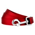 thumbnail image 1 of Country Brook Petz - Vibrant 15 Color Selection - Heavyduty Doublehandle Nylon Leash (4 Foot, 1 Inch Wide, Red), 1 of 6