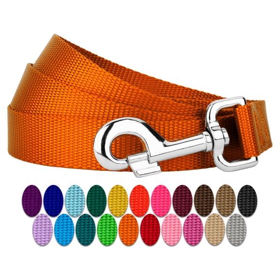 Country Brook Petz - Vibrant 15 Color Selection - Heavyduty Doublehandle Nylon Leash (6 Foot, 1 Inch Wide, Orange)