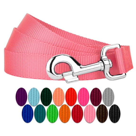 Country Brook Petz - Vibrant 15 Color Selection - Heavyduty Doublehandle Nylon Leash (6 Foot, 1 Inch Wide, Pink)