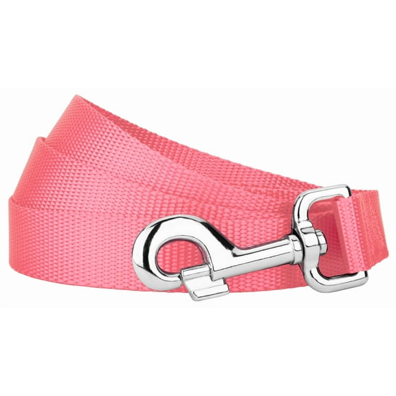 Country Brook Petz - Vibrant 17 Color Selection - Heavyduty Doublehandle Nylon Leash (4 Foot, 3/4 Inch Wide, Pink)