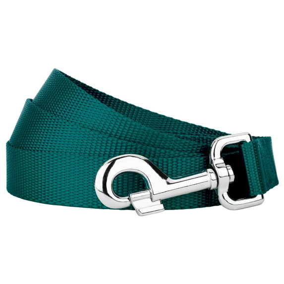 Country Brook Petz - Vibrant 17 Color Selection - Heavyduty Doublehandle Nylon Leash (4 Foot, 3/4 Inch Wide, Teal)