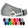 thumbnail image 1 of Country Brook Petz - Vibrant 17 Color Selection - Heavyduty Doublehandle Nylon Leash (6 Foot, 3/4 Inch Wide, Silver), 1 of 6