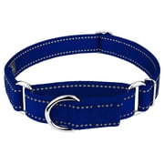 Country Brook Petz  Royal Blue Reflective Nylon Martingale Dog Collar, Medium
