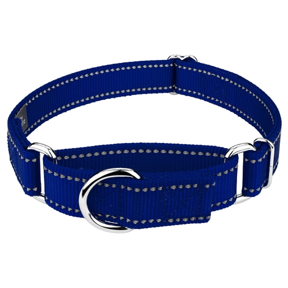Country Brook Petz® Royal Blue Reflective Nylon Martingale Dog Collar, Large