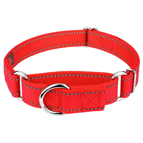 Country Brook Petz - Vibrant 8 Color Selection - Reflective Nylon Martingale Dog Collar