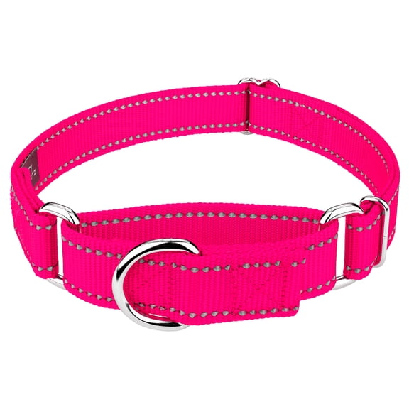 Country Brook Petz® Hot Pink Reflective Nylon Martingale Dog Collar, Large