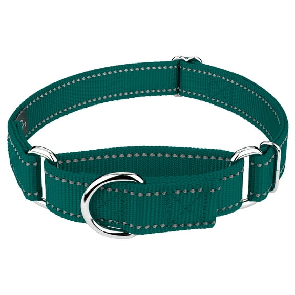 Country Brook Petz® Teal Reflective Nylon Martingale Dog Collar, Medium