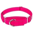 thumbnail image 1 of Country Brook Petz® Hot Pink Reflective Nylon Martingale Dog Collar, Medium, 1 of 6