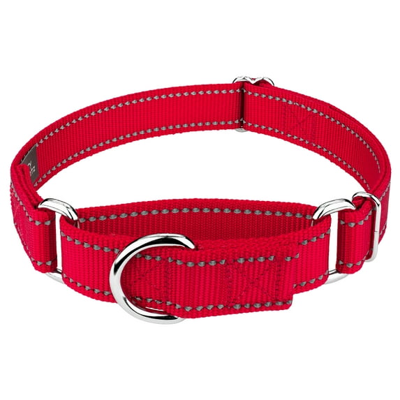 Country Brook Petz® Red Reflective Nylon Martingale Dog Collar, Extra Large
