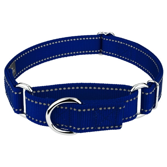 Country Brook Petz® Royal Blue Reflective Nylon Martingale Dog Collar, Small
